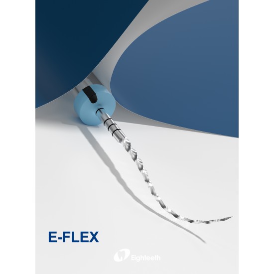 E-FLEX